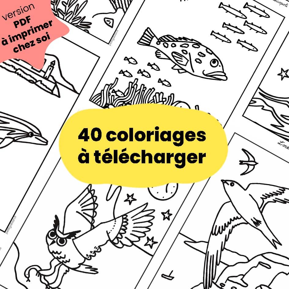 Coloriages animaux des Calanques PDF à imprimer chez soi