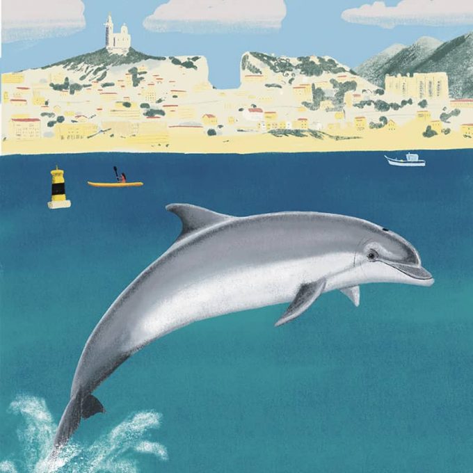 dauphin-calanques-marseille-livre