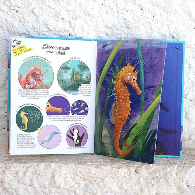 Livre animaux marins Calanques