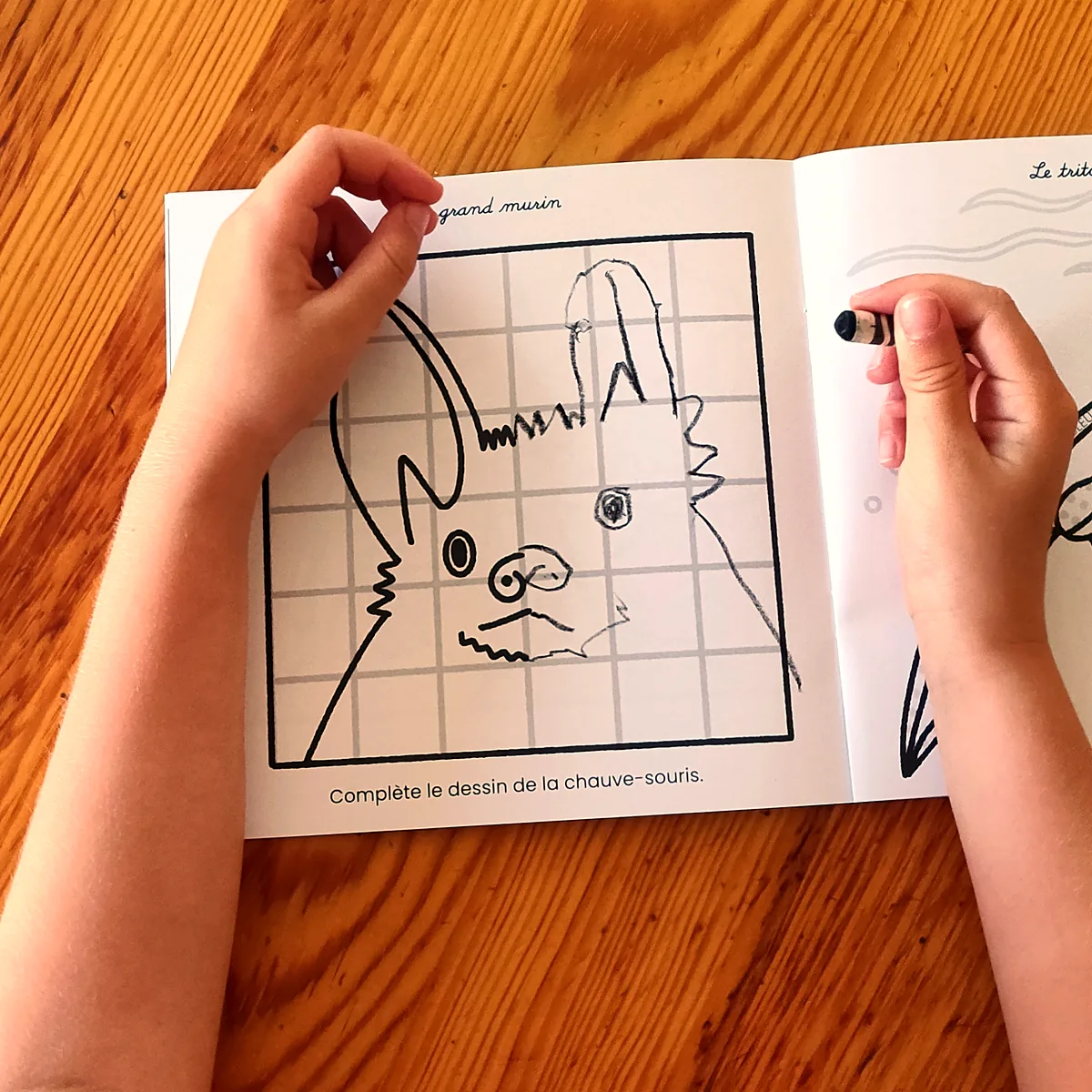 Carnet de jeux animaux Parc national des Écrins – Image 4